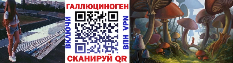 купить   Спасск-Рязанский  Псилоцибиновые грибы Psilocybe 
